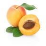 Apricot