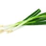 Spring Onion