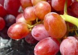 Image of FRUIT Box SMALL