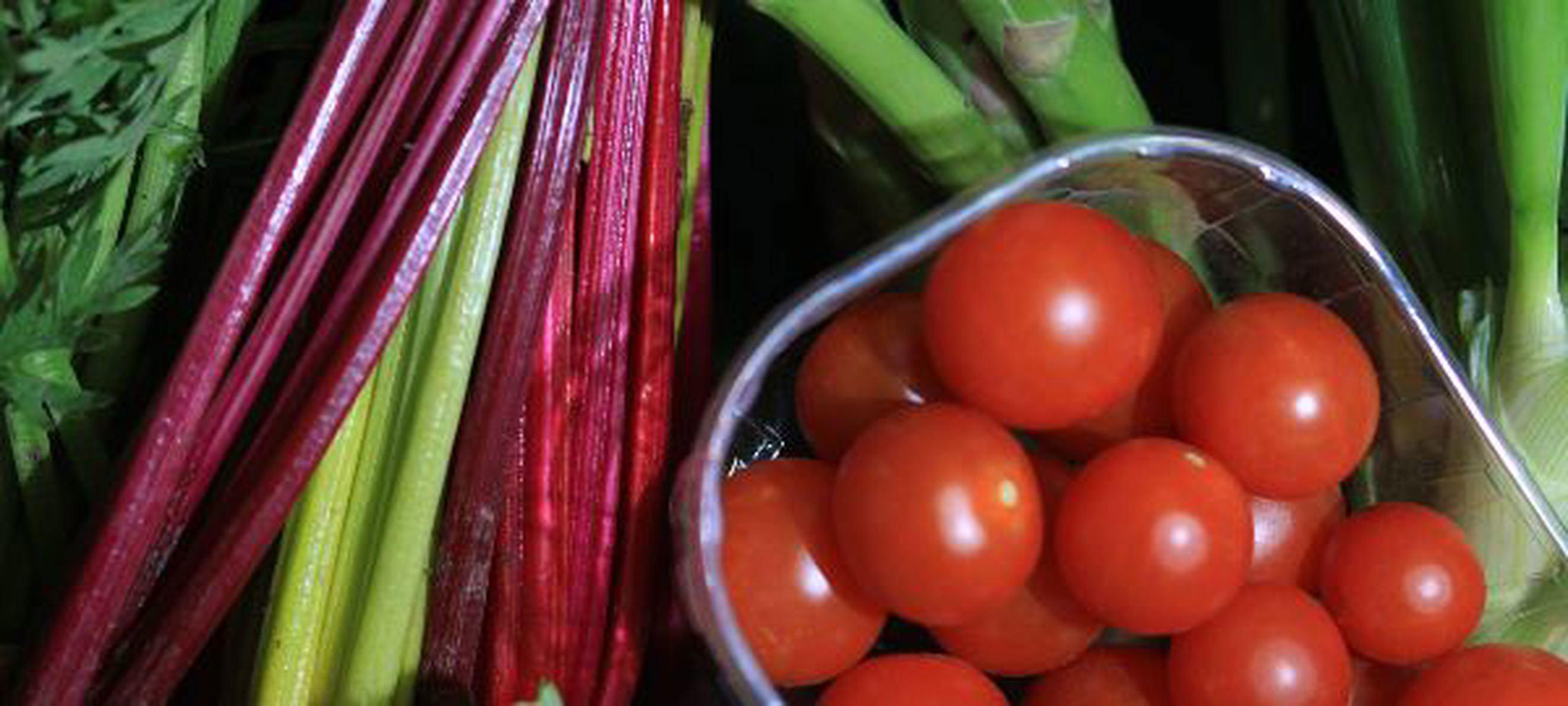 SALAD Box