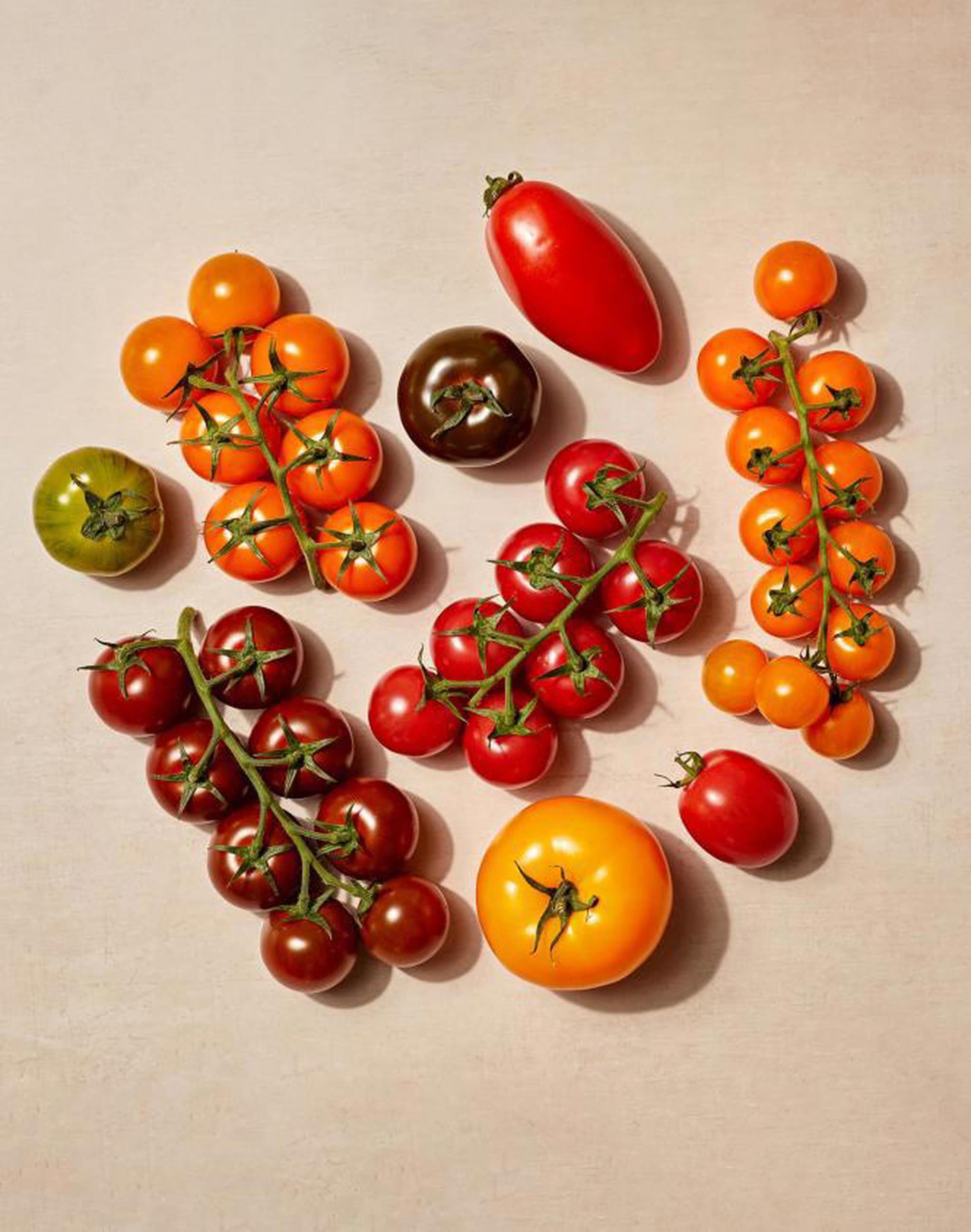 vTomatoes Heirloom mixed