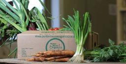 Image of Veg Box MEDIUM NP